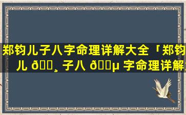 郑钧儿子八字命理详解大全「郑钧儿 🌸 子八 🌵 字命理详解大全图片」